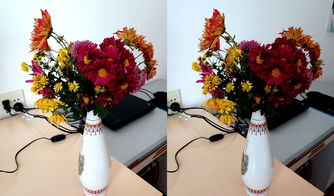 插花随拍 红青 交叉