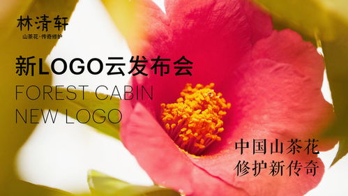 以红山茶花为灵感,林清轩发布新logo