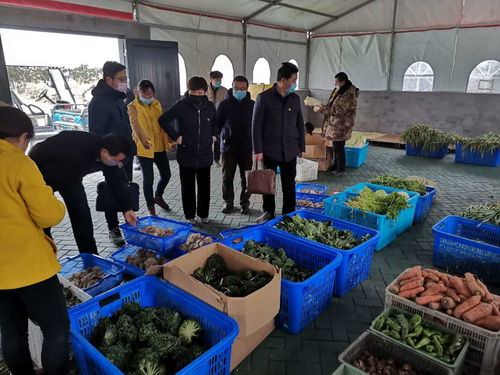 盐城市农业农村局 地方之窗 电商 显神通 线上 销菜忙 大丰农业农村局抗疫助销农产品纪事