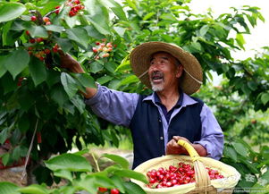 天水在线重磅推出 陇上江南 多彩天水