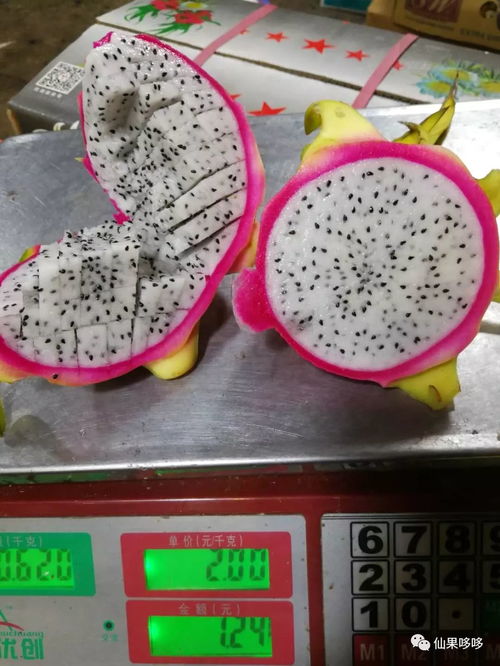 仙果商城随意拼 上新百香果 大果 进口澳桔 西州蜜瓜 海南红心火龙果 新疆无核籽葡萄 青 紫 红西柚 山竹 猕猴桃
