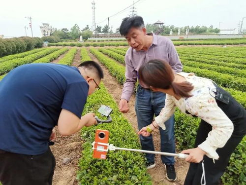 青岛西海岸新区 2020中国品牌日 线上品牌节 新品味品牌主题周圆满落幕