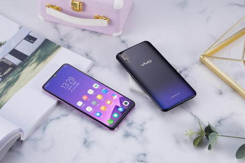 vivo y97双色图赏 颜值在线 拍照实力可圈可点
