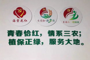 青春红 植保绿 培育党建子品牌的 真色彩