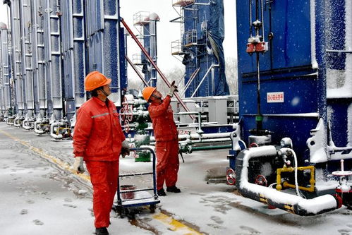 白鹭湖 井工厂 风雪中的一抹红