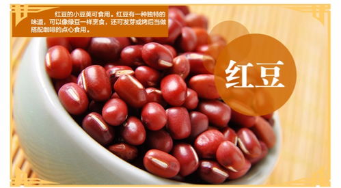 巨鹰食品 豆类杂粮粗粮陕西特产粮食绿豆黑豆青豆红小豆红荟豆五谷丰登