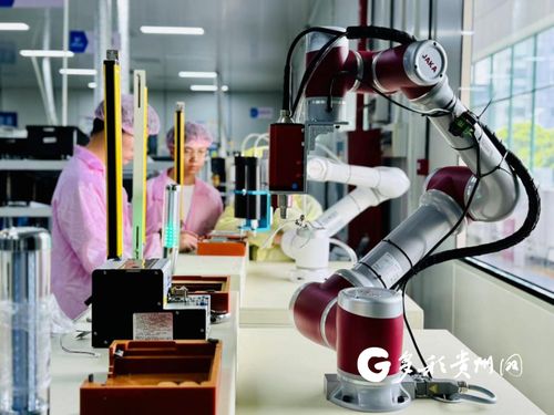 多彩贵州网 贵州 绿色工厂巡礼 逐 绿 之行 永青智控勇攀高峰