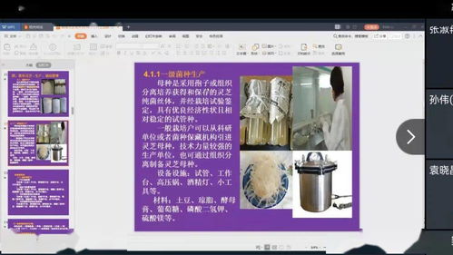 图强林业局组织开展线上食用菌技术培训班