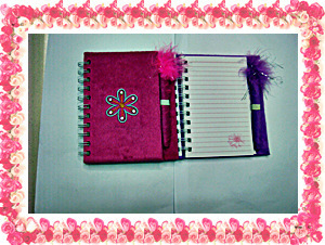 【毛绒本.笔记本.记事本韩式本.精品笔记本.绣花本.pv本.纸质本】价格,厂家,图片,办公礼品,金红青(个体经营)-