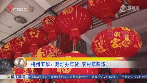 湛江廉江红橙采摘季开启，精品化销售引领产业升级