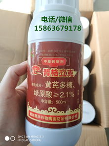 草莓红中柱根腐病 使用青枯立克杀菌剂有效治疗的防治策略