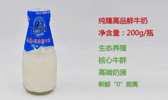 红梅牛奶 品质与健康的守护者