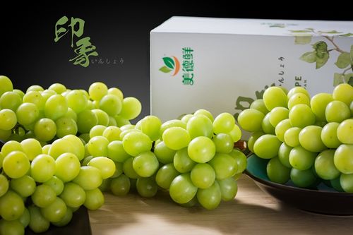 吃了都不舍得吐皮的青提，一颗醉心，两颗醉魂