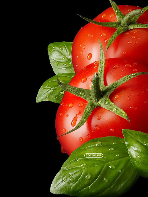 色彩的味觉体验 为什么红与青能触发感官联觉