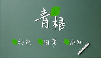 青梧与红软 探索橙光游戏在线体验