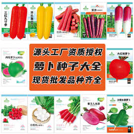 脆青与红青 传统工艺与现代创新的交融