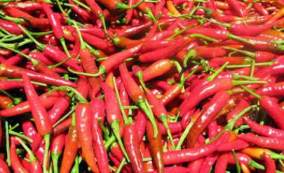 红青椒VS青椒 营养巅峰对决，解锁你不知道的健康益处